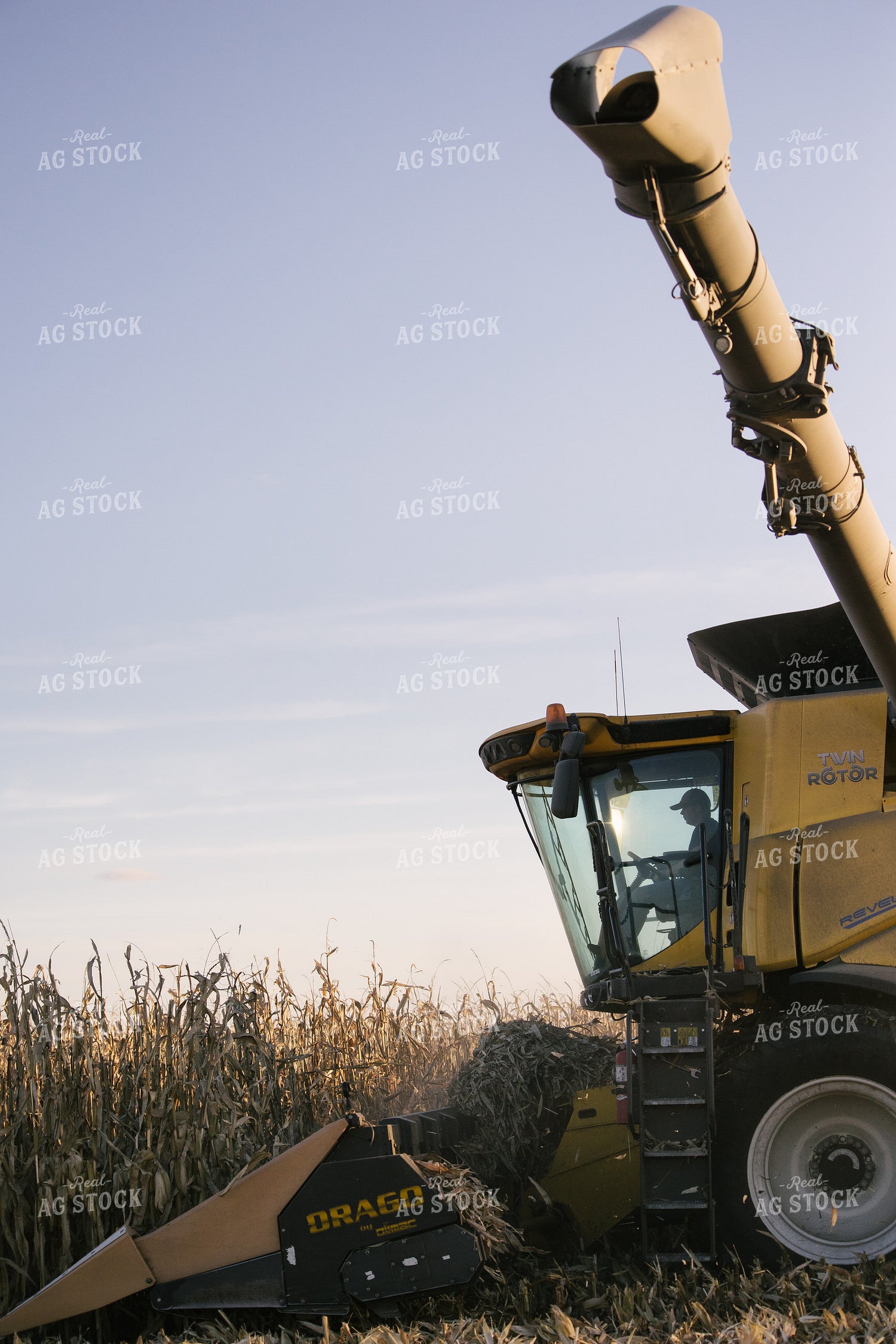 Nebraska Corn Harvest 70036