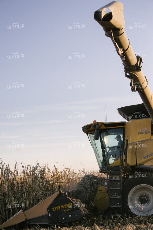 Nebraska Corn Harvest 70036