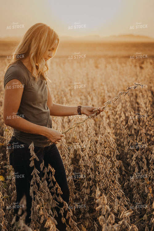 Female Agronomist Checking Soybeans 9253