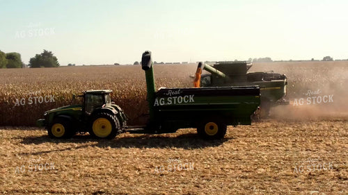 Corn Harvest 287042