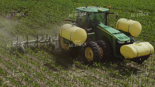 Ripping Corn 239325