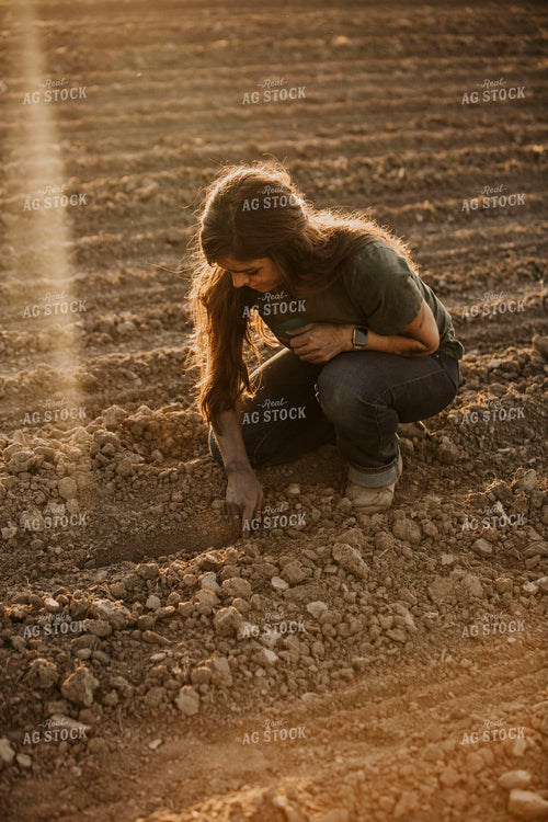 Planting 2841