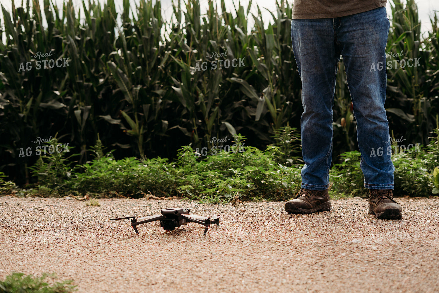 Scouting Fields With Drone 196344