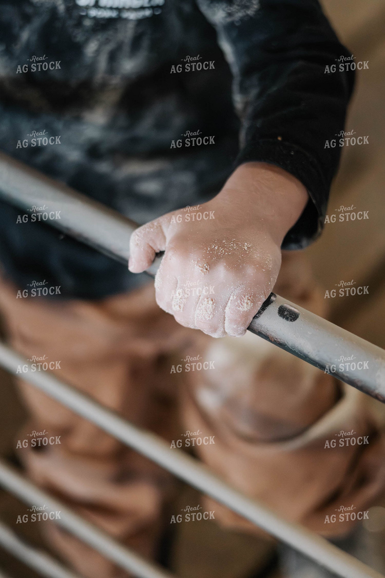 Farm Kid in Pig Barn 289057