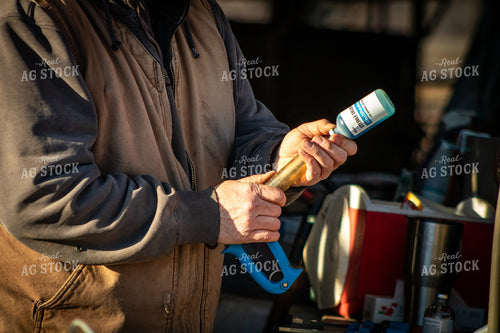 Vaccinating Cattle 214103