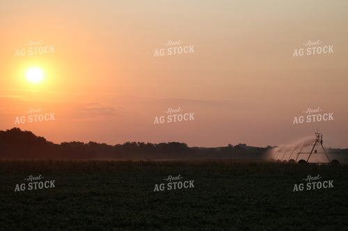 Irrigation System at Dusk 82088