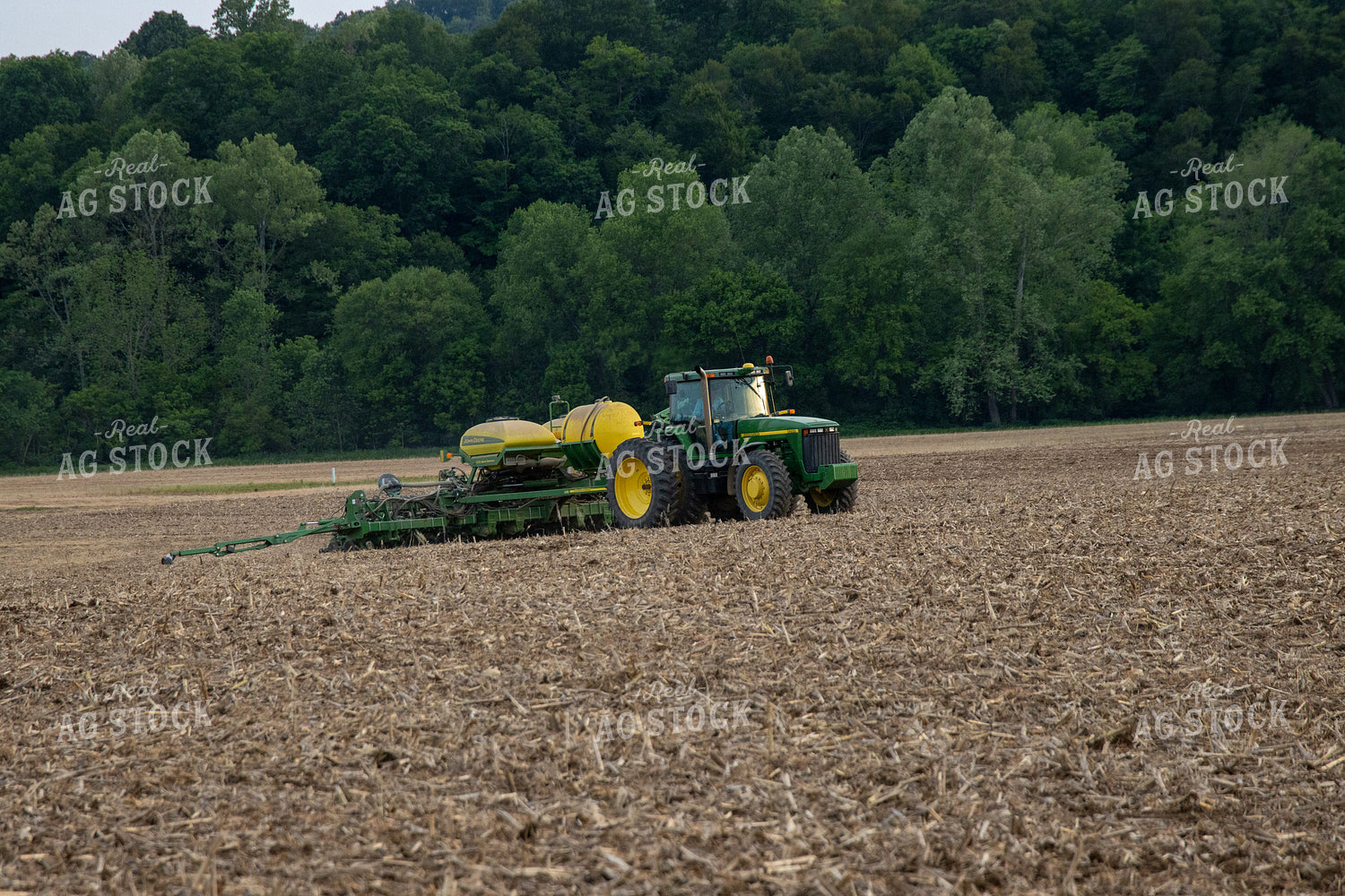 Planting on Sunny Day 52127