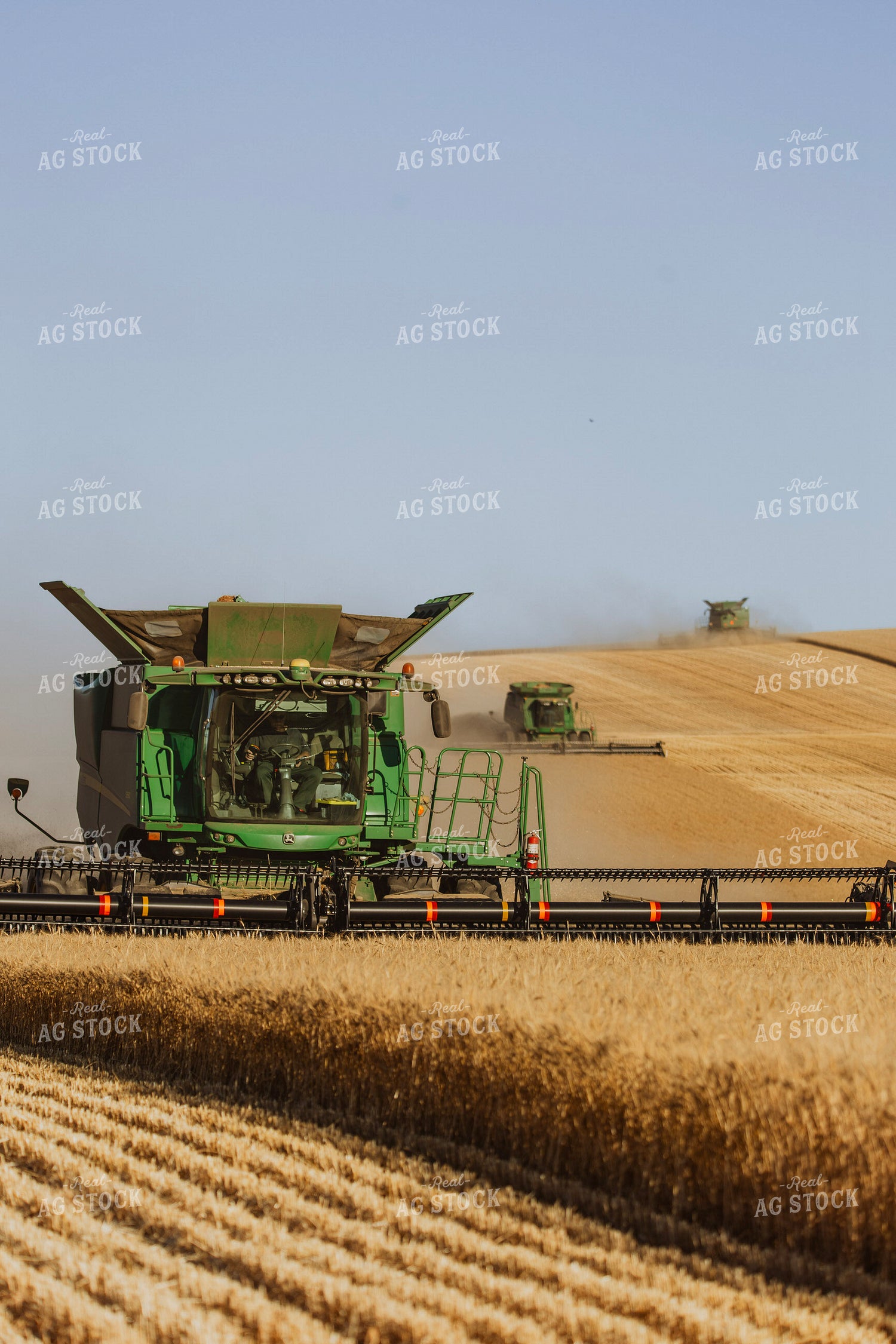 Wheat Harvest 187303