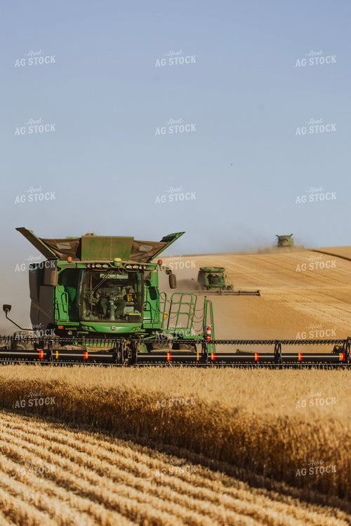Wheat Harvest 187303