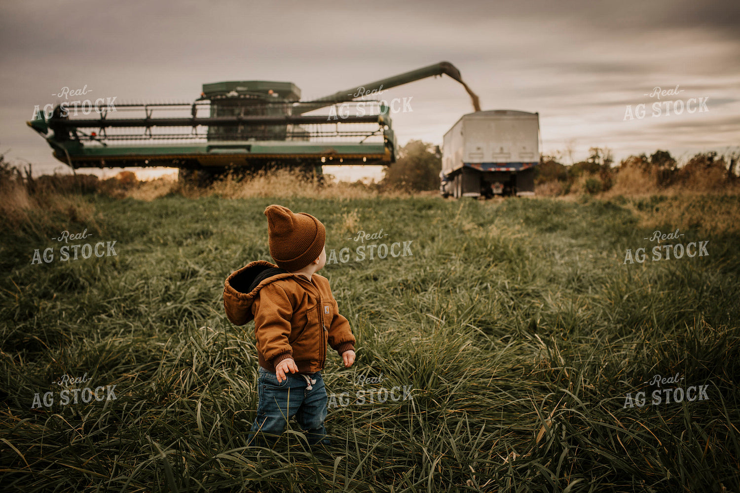 Harvest 2624