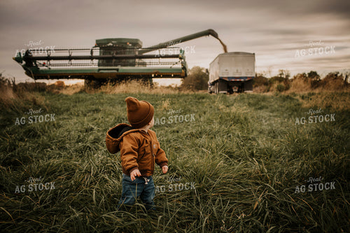 Harvest 2624