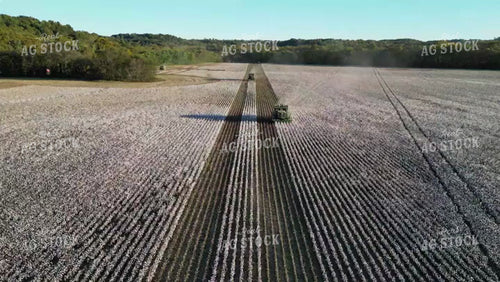 Aerial of Cotton Harvest 149065
