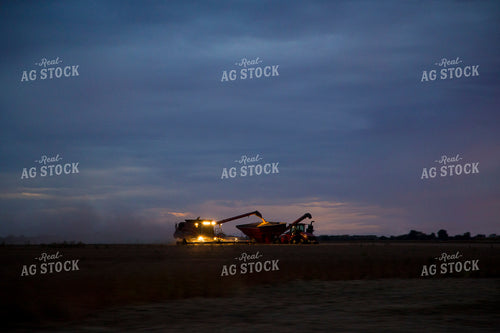 Soybean Harvest at Dusk 93019