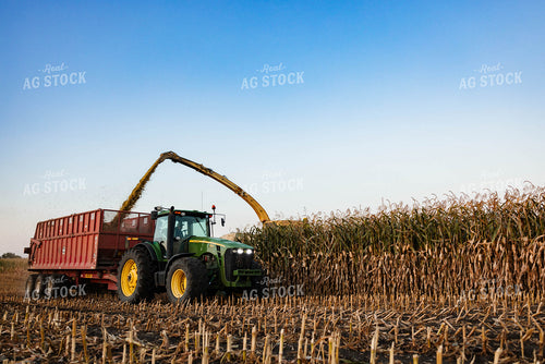 Silage Harvest 152297