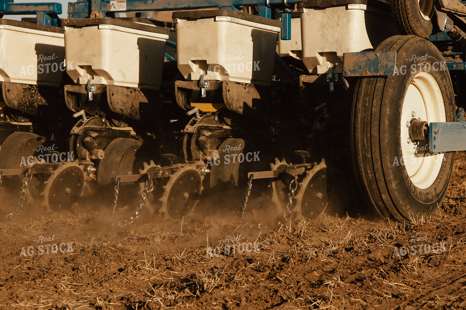 Planting 67555