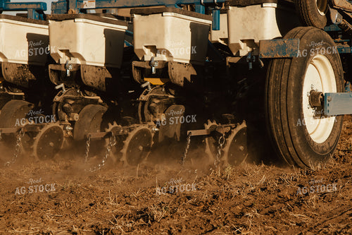 Planting 67555