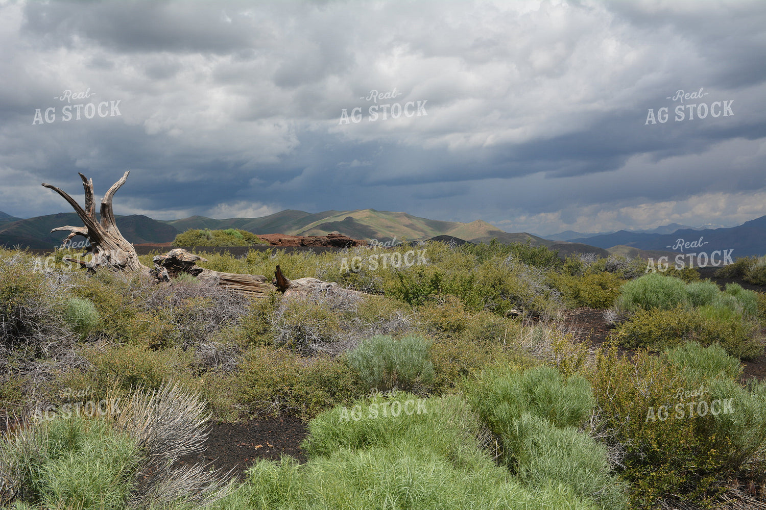 Mountain Landscape 198014