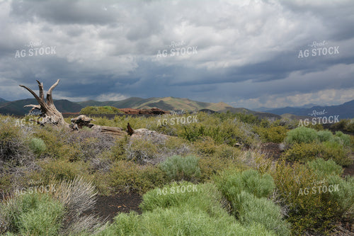 Mountain Landscape 198014