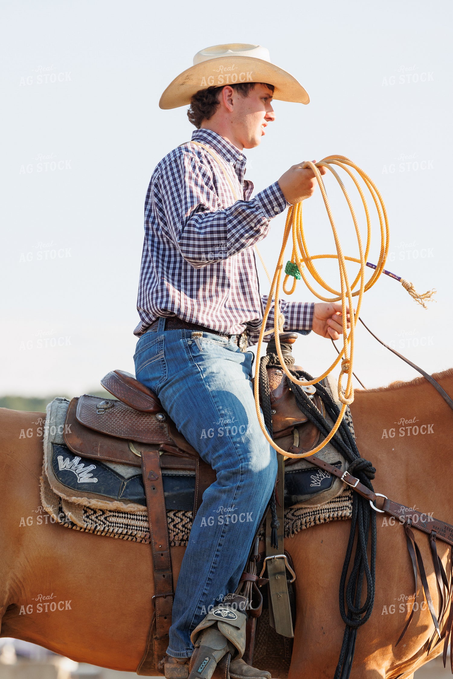 Rodeo 295127