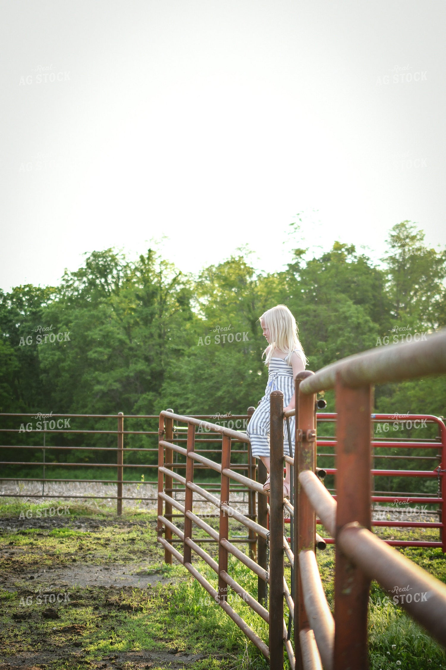 Farm Kid Leaning on Fence 191172