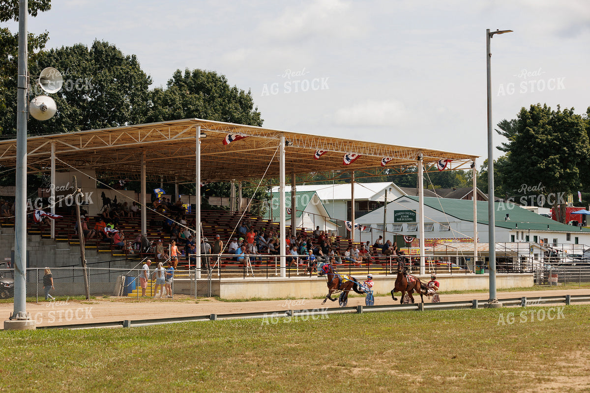 Harness Racing 295179