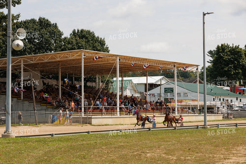 Harness Racing 295179