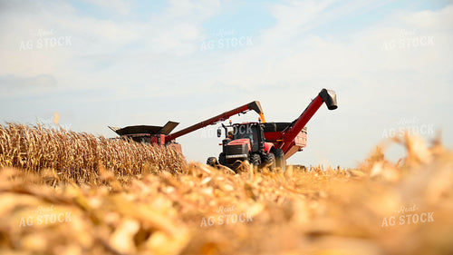 Combine Unloading Corn into Auger Wagon on the Go 25606