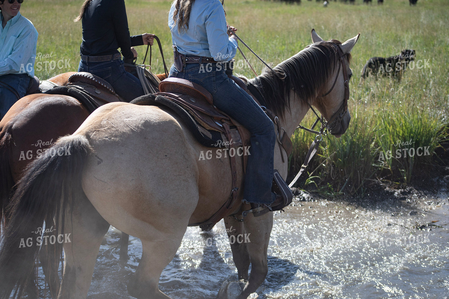 Cowgirl on Horseback 117431