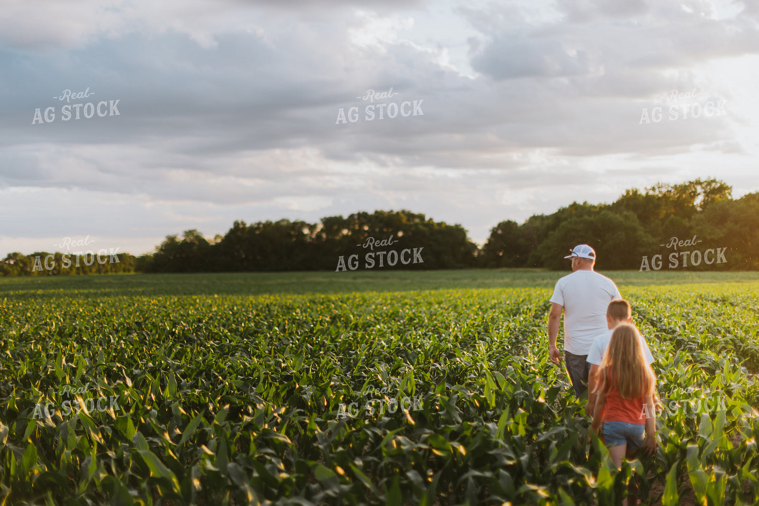 Farmer and Kids Checking Corn 8813