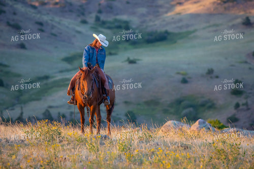 Cowgirl on Horseback 290051
