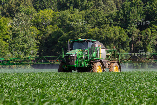 Spraying Soybeans 79122