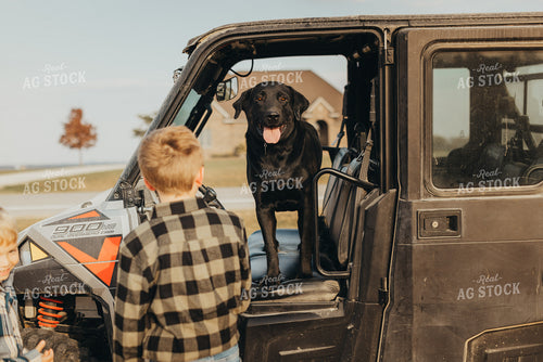 Farm Dog in Side by Side 9461