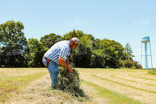 Farmer Checking Cut Hay 214028