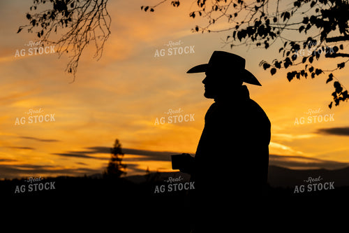 Cowboy Silhouette 188146