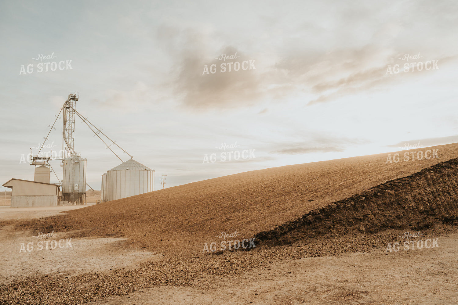 Uncovered Silage Pile 61261