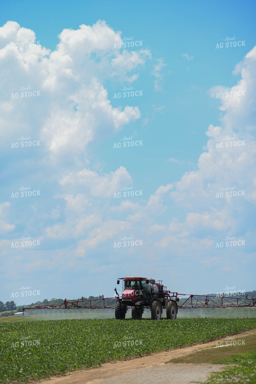 Spraying 191218