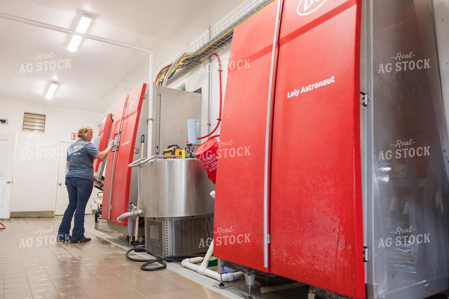 Farmer Adjusting Robotic Milking Unit 270200