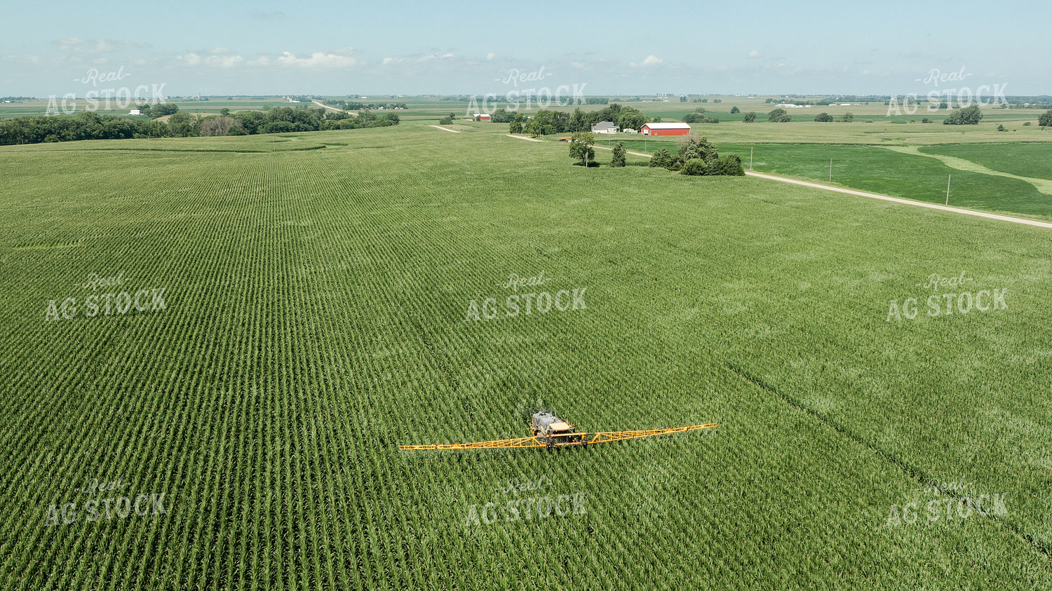 Spraying Corn 274071