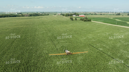 Spraying Corn 274071