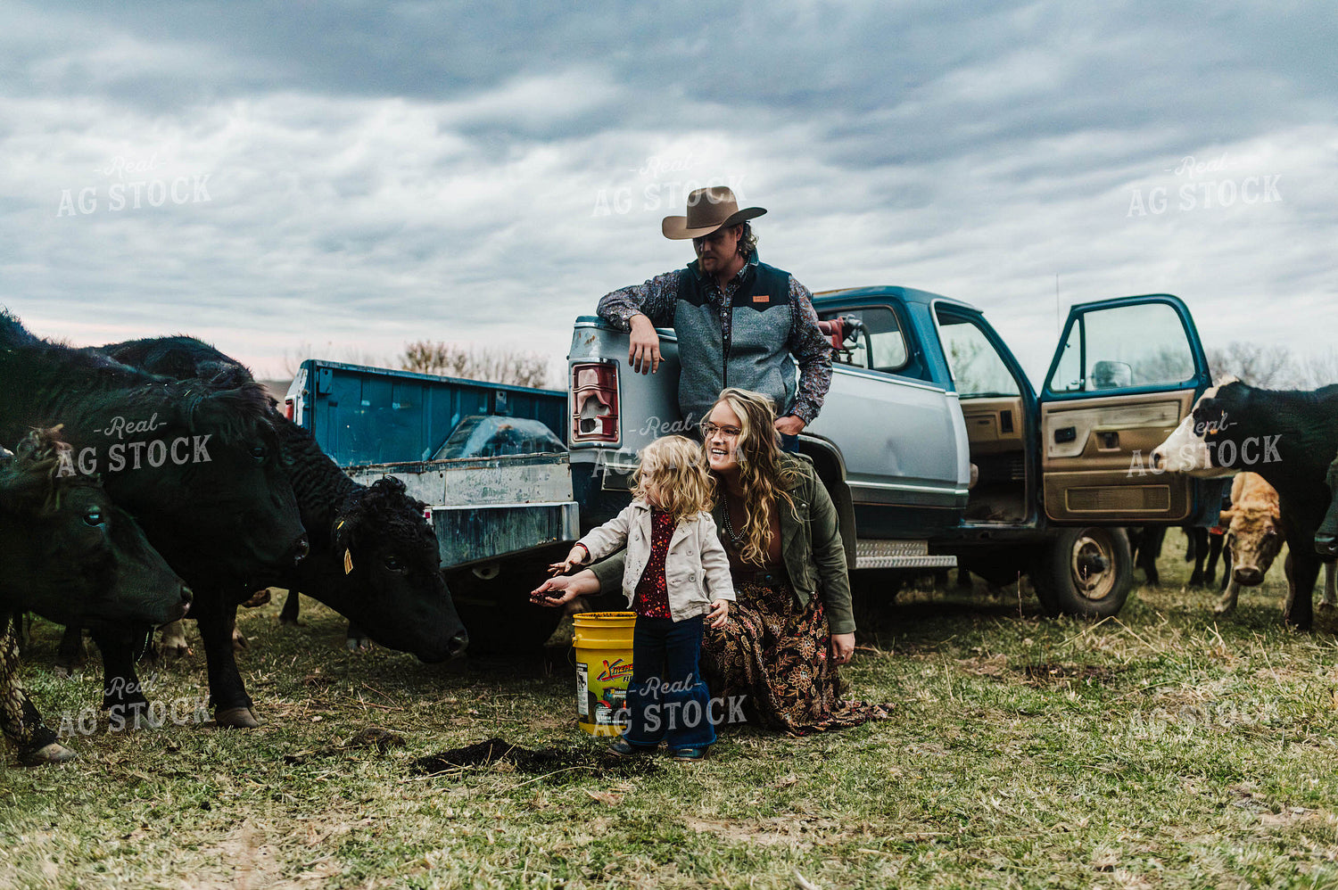 Farm Family Checking Cattle 115148