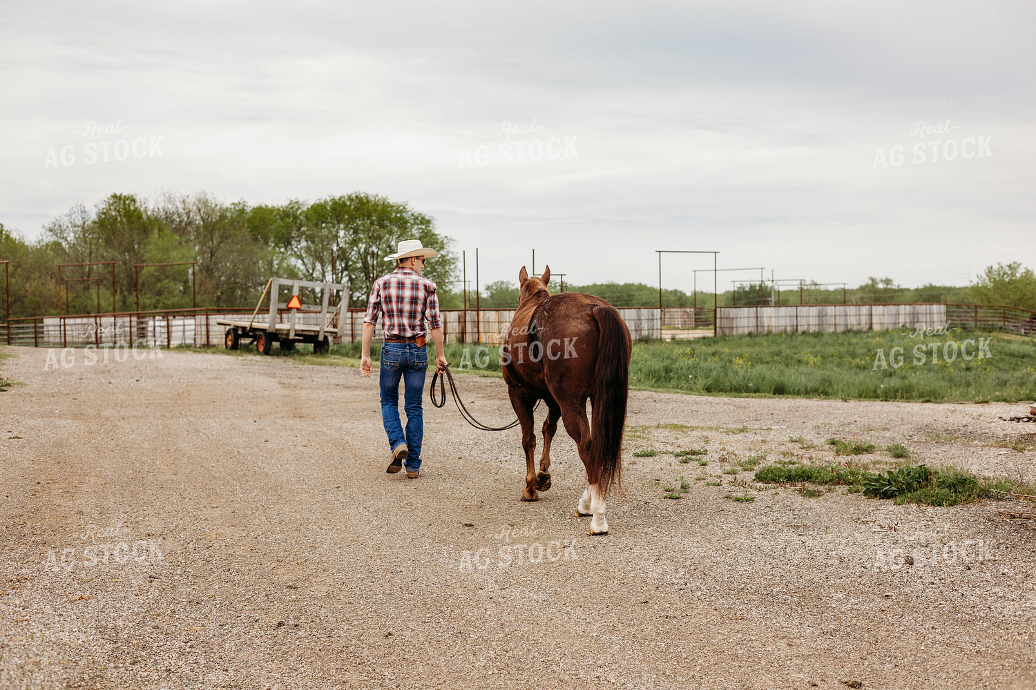 Rancher with Horse 281019