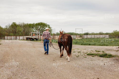 Rancher with Horse 281019