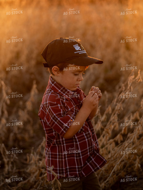 Farm Kid Looking at Dried Soybeans 185230
