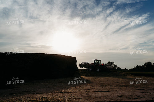 Packing Silage Pile 196366