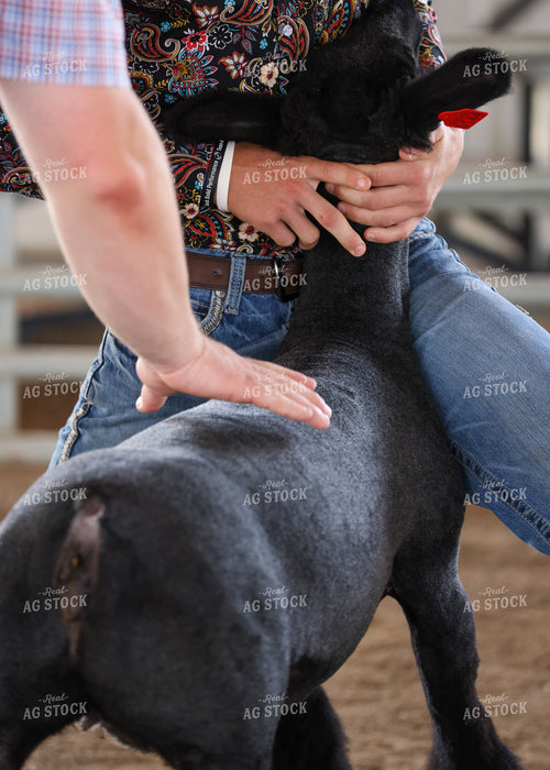 Showing Goats 160289