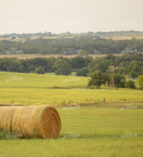 Hay Bale in Field 143004