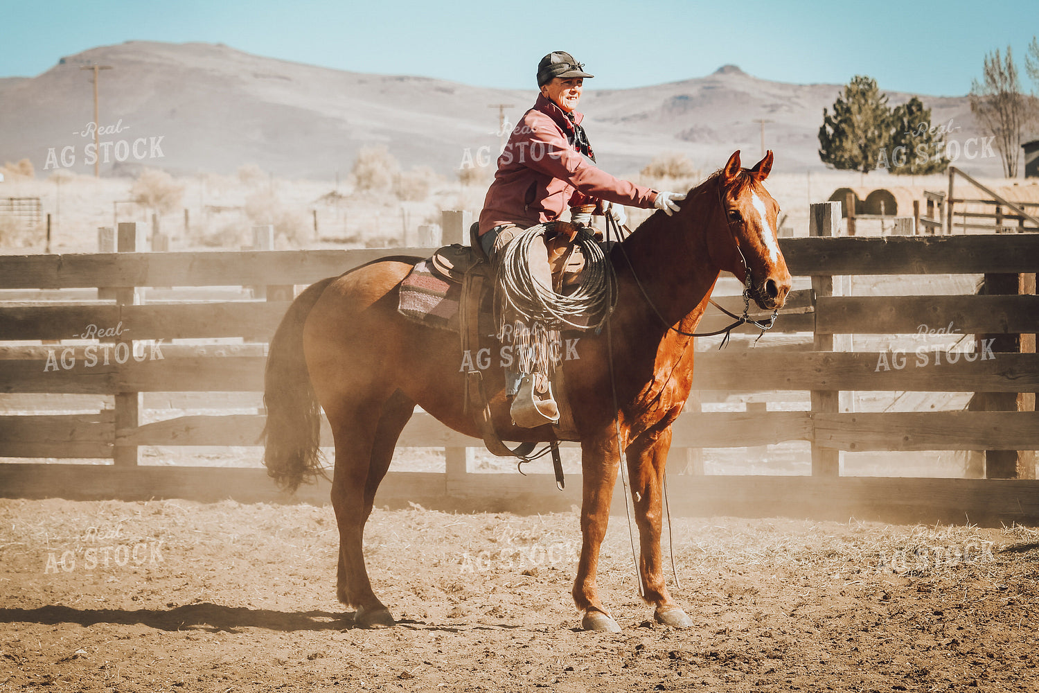 Rancher on Horse 78079
