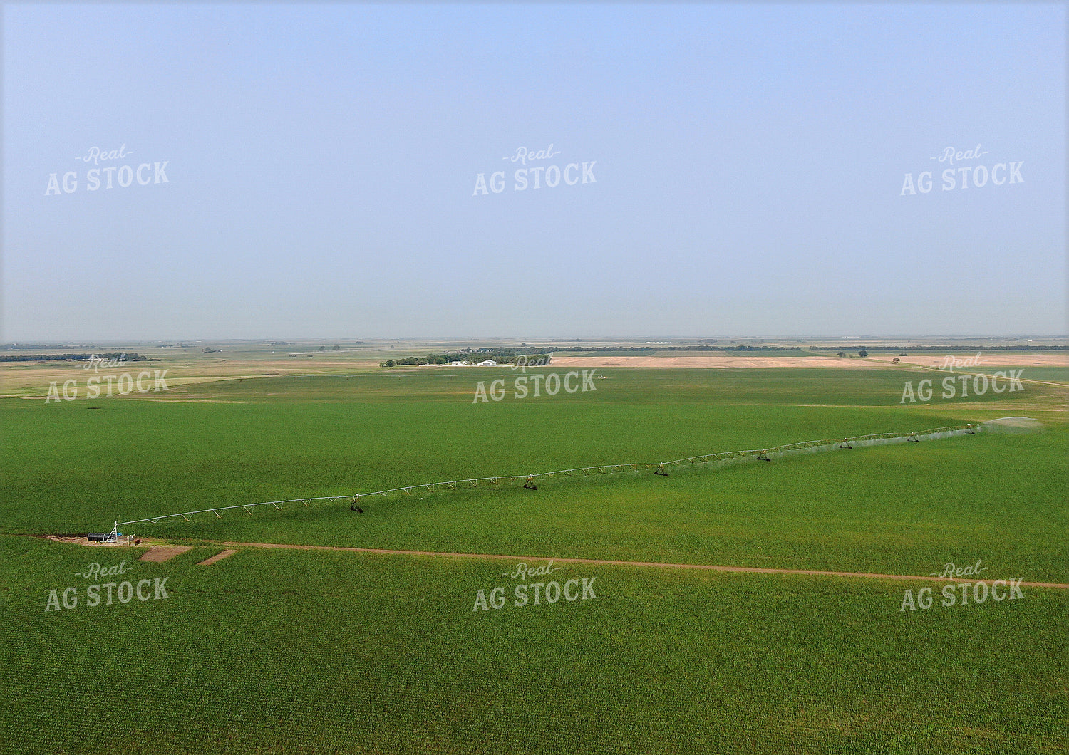 Pivot Irrigation in Corn Field 141013
