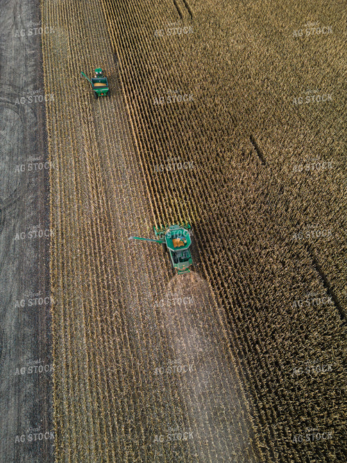 Aerial of Corn Harvest 67526