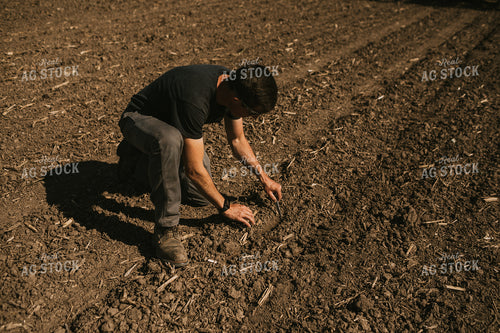 Farmer Checking Seed Depth 4109